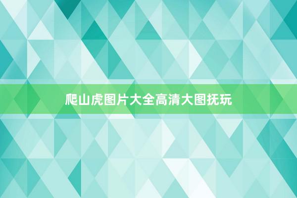 爬山虎图片大全高清大图抚玩