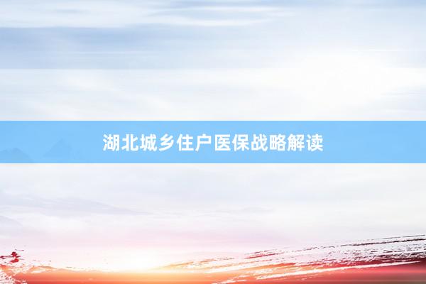 湖北城乡住户医保战略解读
